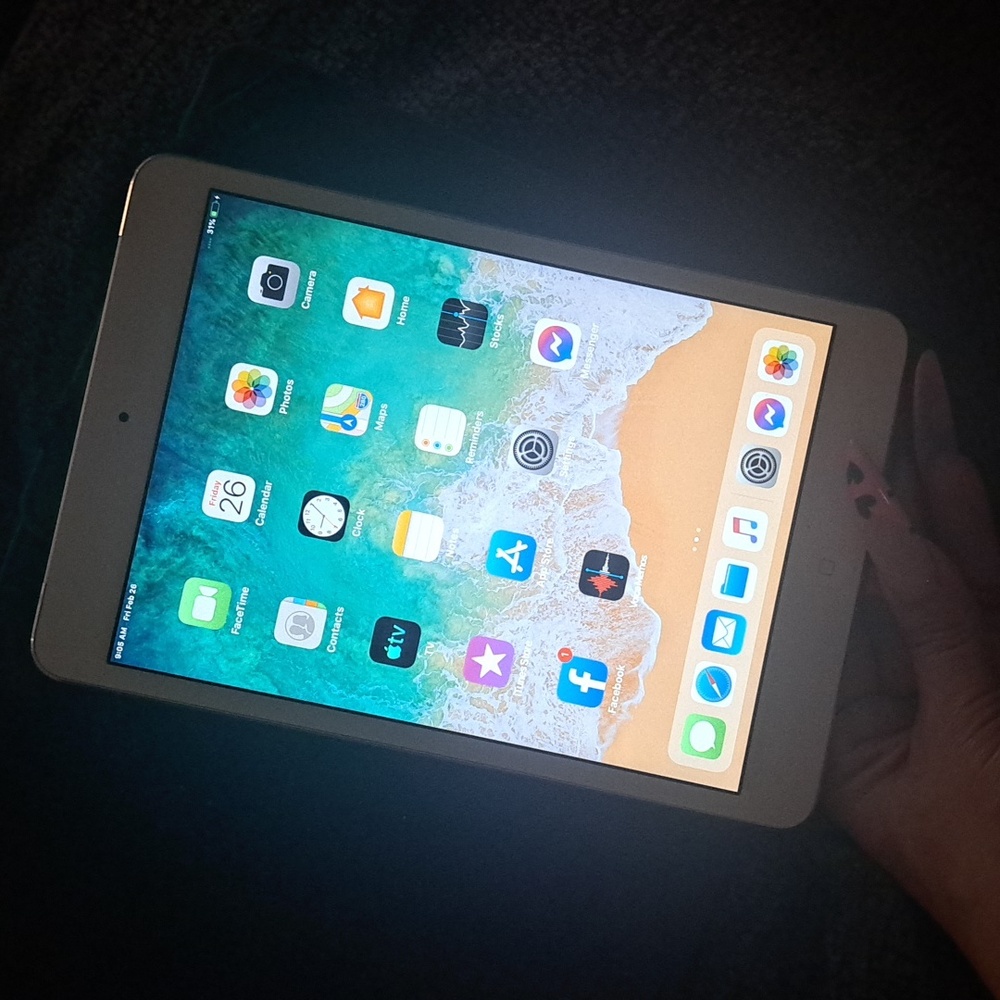 Apple iPad mini 2 A1490